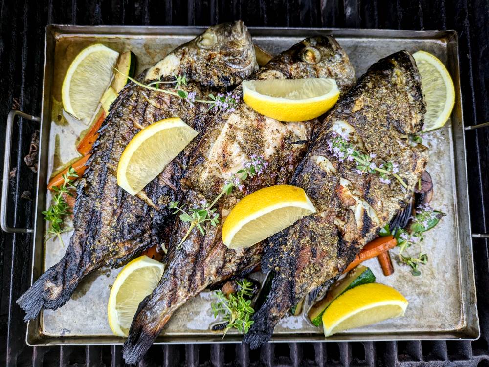 Grillad seabream Grillad seabream