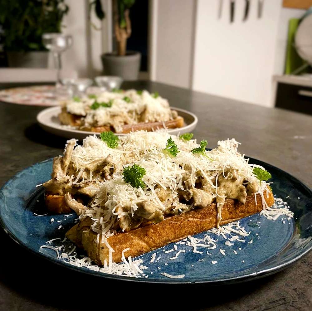 Hot tuna melt 5 En macka med svampfyllning, riven ost och grönskål på en blå tallrik.