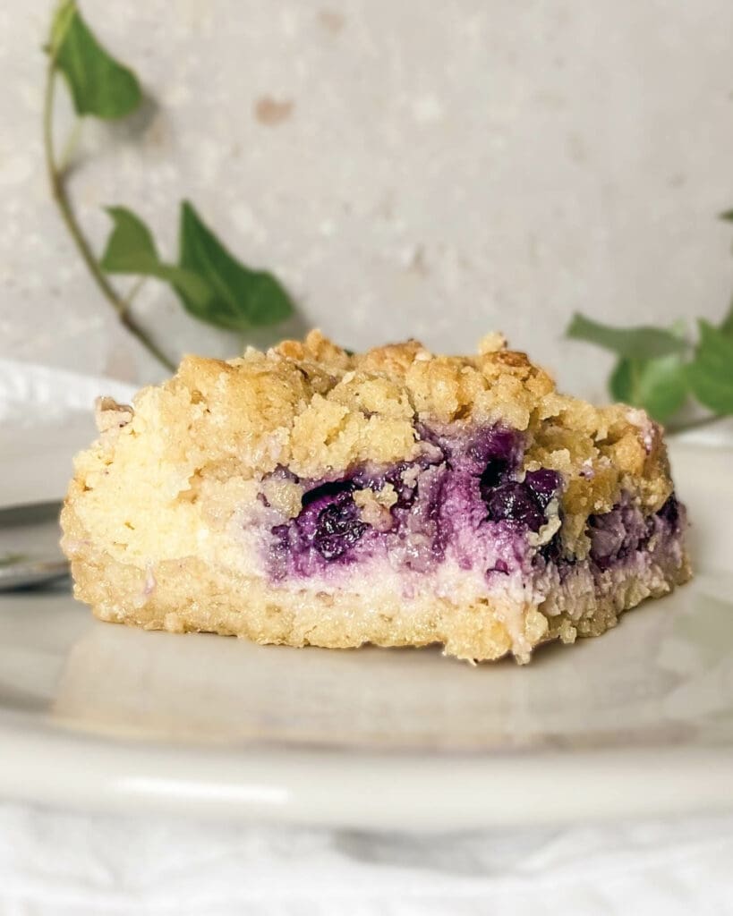 Världens godaste blåbärskaka 9 En bit blåbärscheesecake med smulig topping på en tallrik.
