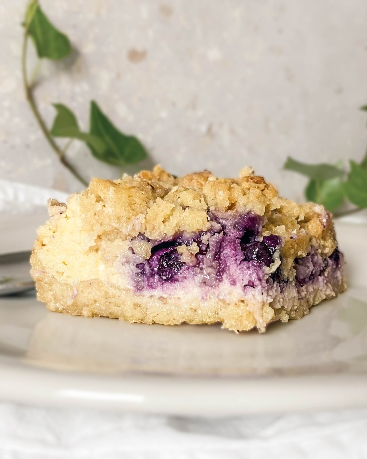 Blåbärscheesecakerutor Blåbärscheesecakerutor