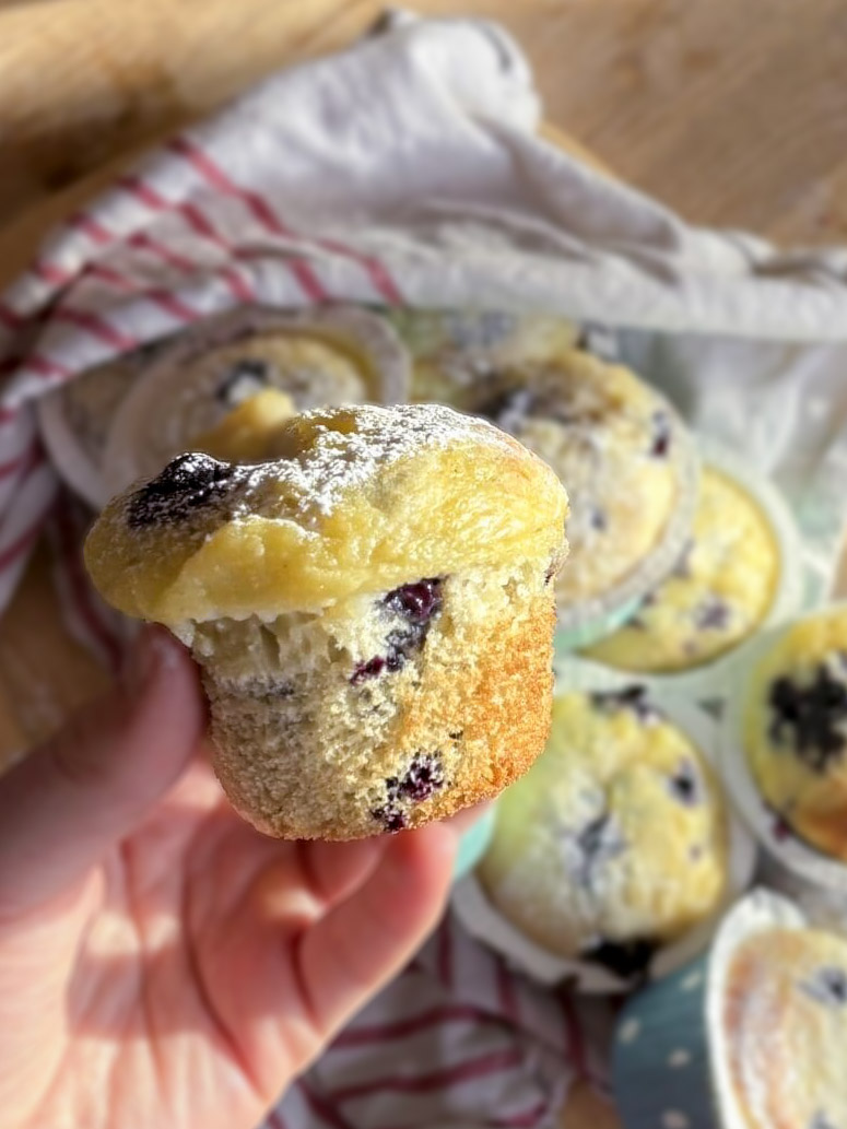 Blåbärsmuffins med vaniljkräm Blåbärsmuffins med vaniljkräm