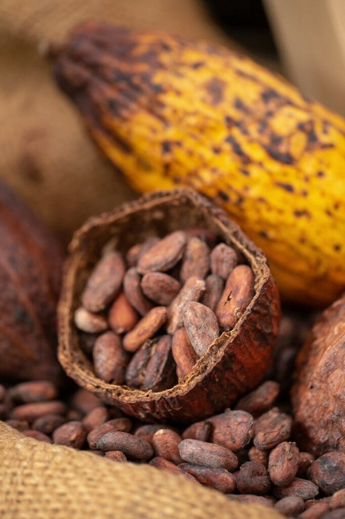 Kakao – Hälsofördelar, näringsinnehåll och skillnaden på raw kakao och kakaosmör 9 Kakao – Hälsofördelar, näringsinnehåll och skillnaden på raw kakao och kakaosmör | Receptskatt