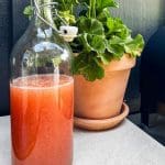 Glasflaska med rabarbersirap stående på ett bord bredvid en kruka med växter.