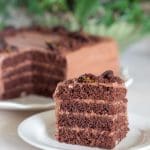 En bit chokladtårta med flera lager och chokladfrosting på en vit tallrik.